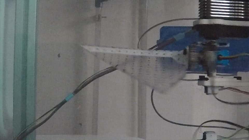 Insights into Flexible Bioinspired Fins for Unmanned Underwater Vehicle Systems through Deep Learning